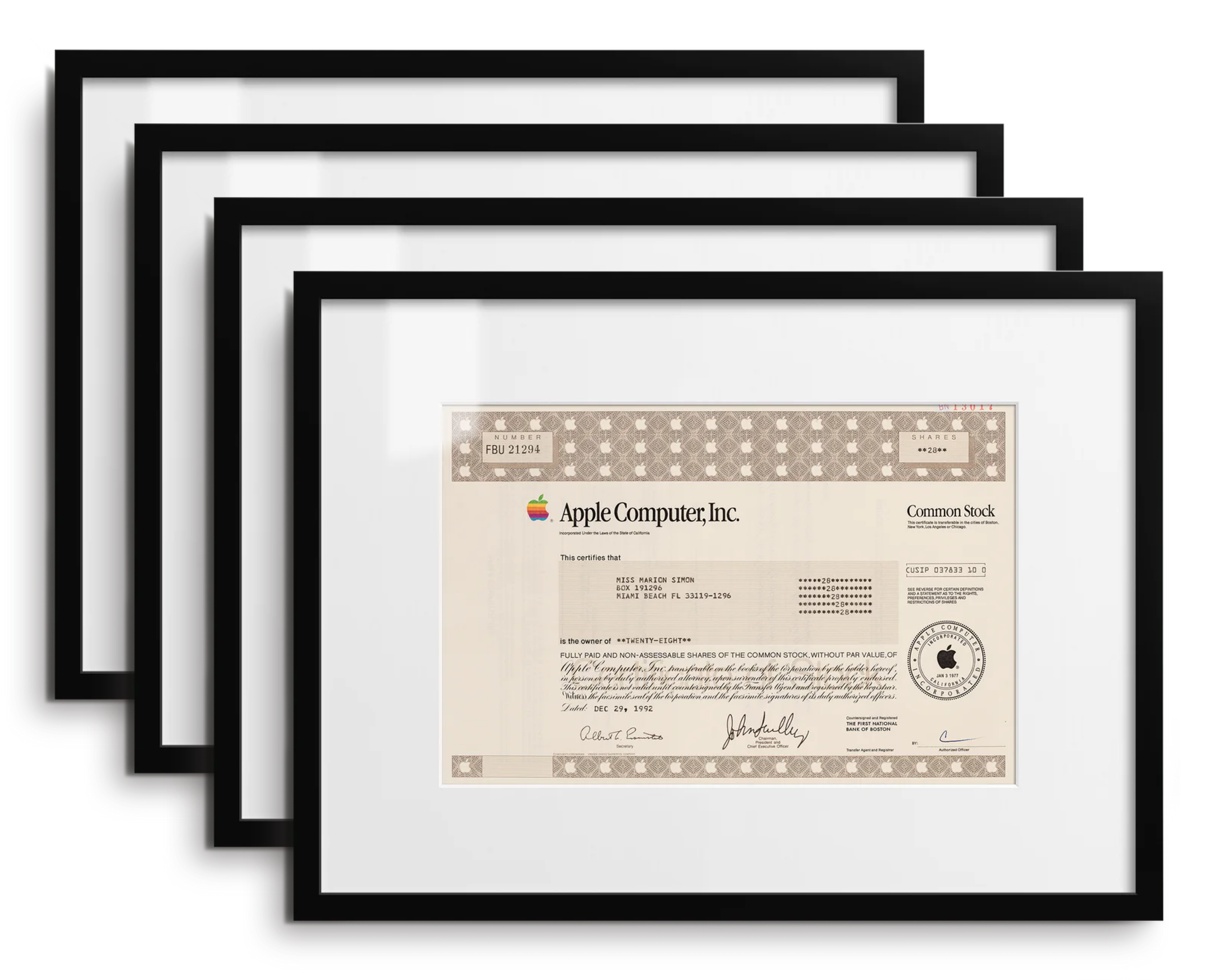 Tech Pioneers Bundle